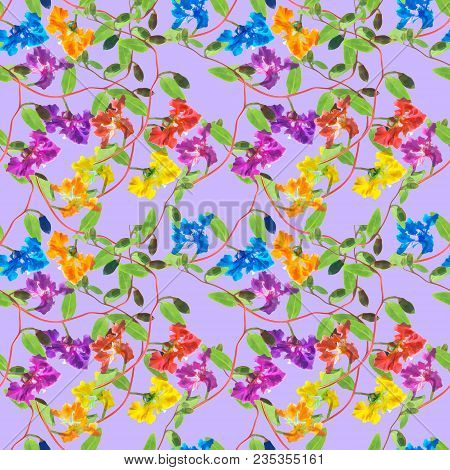 Clarkia. Texture Of Flowers. Seamless Pattern For Continuous Replicate. Floral Background, Photo Col