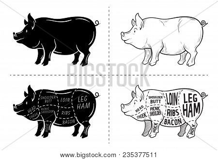 Cut Of Meat Set. Poster Butcher Diagram, Scheme And Guide - Pork. Vintage Typographic Hand-drawn On 