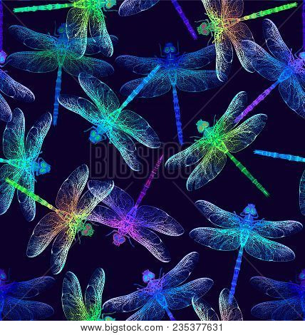 Dragonfly. Vector Seamless Pattern. Dark Blue Backgrounds. Summer Night.