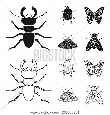 Wrecker, Parasite, Nature, Butterfly .insects Set Collection Icons In Black, Outline Style Vector Sy