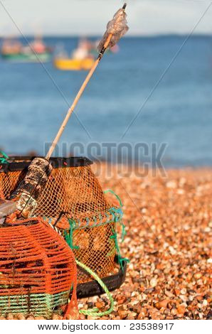 Krabbe/hummer gryder på stranden