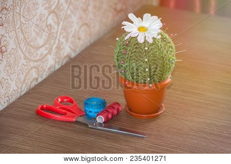 Cactus As A Handmade Needle Bed On Table. Sewing Accessories, Colored Spools Of Thread