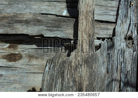 Background Is An Old Wooden Rough Layered Plywood