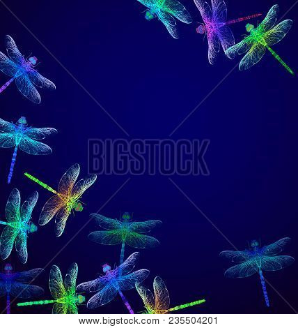 Dragonfly In The Sky. Vector Frame. Dark Blue Backgrounds. Summer Night.