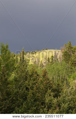 Dark Gray Sky Over Green Forest Landscape In Remote Area Of Highwood, Montana, Usa.