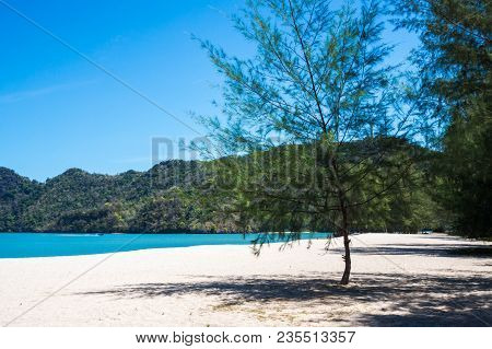 Tropical Sand Beach With Tree On Langkawi Islands, Malaysia. Tanjung Rhu Beach.