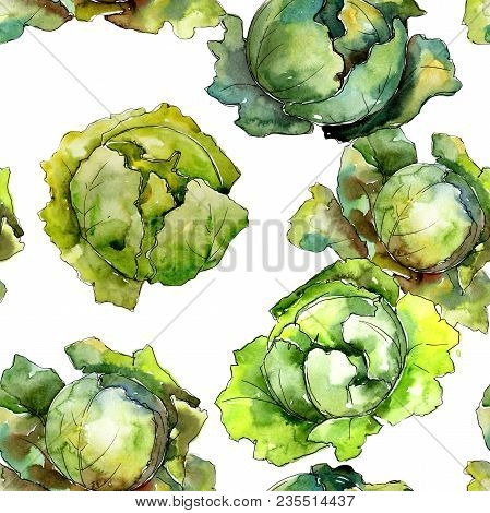 Green Cabbage Vegetables  In A Watercolor Style Pattern. Full Name Of The Vegetablles: Cabbage. Aqua