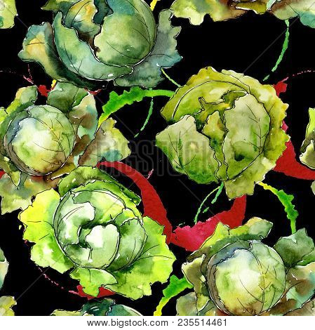 Green Cabbage Vegetables  In A Watercolor Style Pattern. Full Name Of The Vegetablles: Cabbage. Aqua