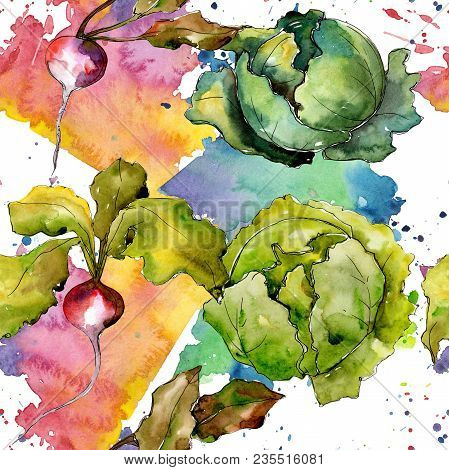 Red Radish Vegetables  In A Watercolor Style Pattern. Full Name Of The Vegetablles: Radish. Aquarell