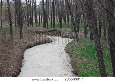 Spring Clay River In The Forest In The Rain