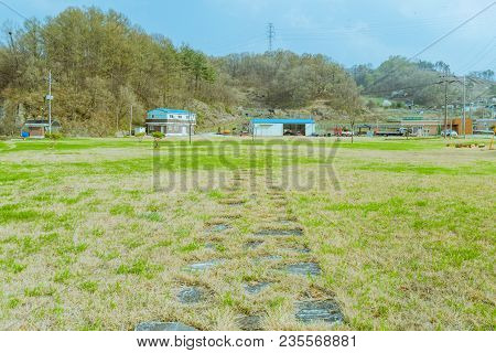 Landscape Of Field Of Green And Brown Grass With Stone Walkway Extending Through Field To Farming Co