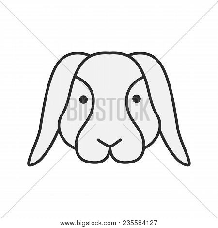 Dwarf Rabbit Color Icon. Bunny. Hare. Isolated Vector Illustration