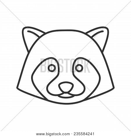 Raccoon Linear Icon. Thin Line Illustration. Contour Symbol. Vector Isolated Outline Drawing