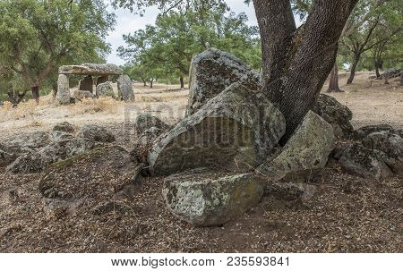 Dolmen Of La Lapita Between Holm Oaks. Ancient Prehistoric Building Located Near Barcarrota. Extrema
