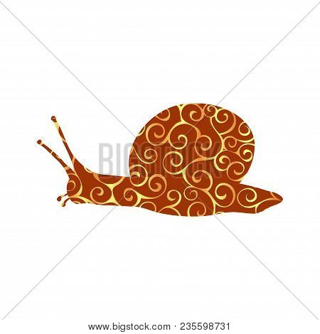 Snail Mollusk Spiral Pattern Color Silhouette Animal. Vector Illustrator.
