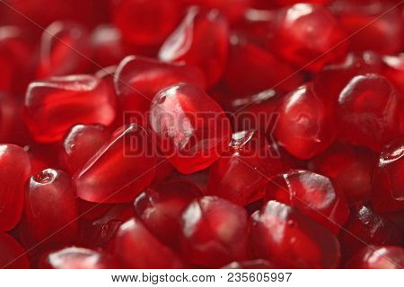 Red Background Of Grain Red Grenades. Big Ripe Red Granets Or Garnets. Fruits Of Red Ripe Pomegranat