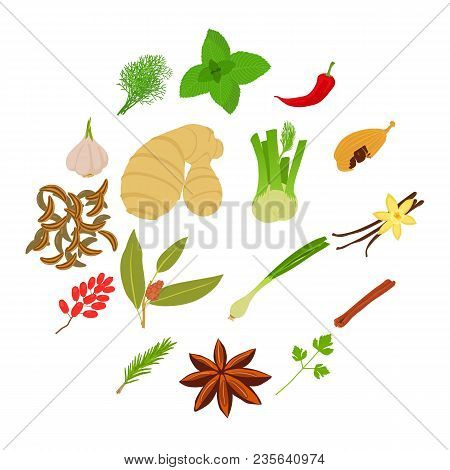 Spices Craft Icons Set. Cartoon Illustration Of 16 Spices Vector Icons For Web