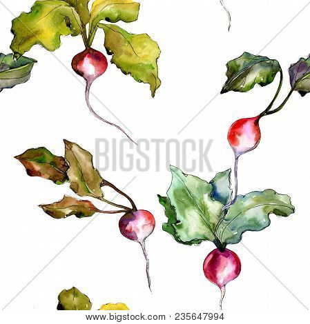 Red Radish Vegetables  In A Watercolor Style Pattern. Full Name Of The Vegetablles: Radish. Aquarell