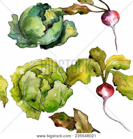 Red Radish Vegetables  In A Watercolor Style Pattern. Full Name Of The Vegetablles: Radish. Aquarell