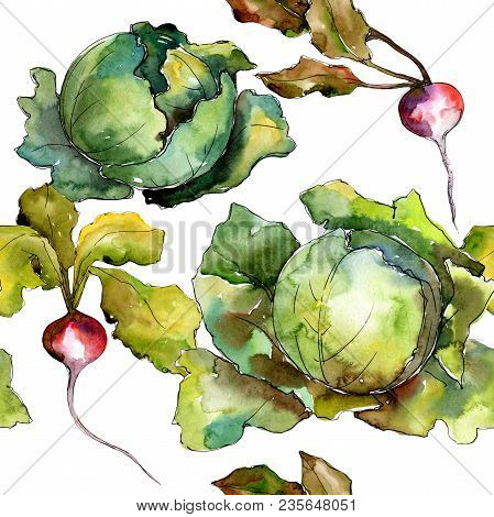 Red Radish Vegetables  In A Watercolor Style Pattern. Full Name Of The Vegetablles: Radish. Aquarell
