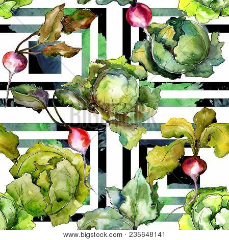 Red Radish Vegetables  In A Watercolor Style Pattern. Full Name Of The Vegetablles: Radish. Aquarell