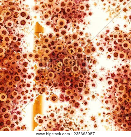 Bunch Of Flowers. The Texture Of Flowers, Hanging Upside Down For Drying. Ekibany