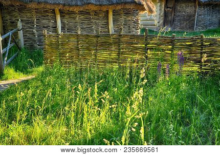 Wicker Wooden Sheds And An Old Fence Among The Greenery, Among The Foreskin And Thin Flowers In The 