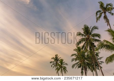 Palm trees against sunset sky on Koh Kood island in Thailand. Tropical holiday concept, copy space