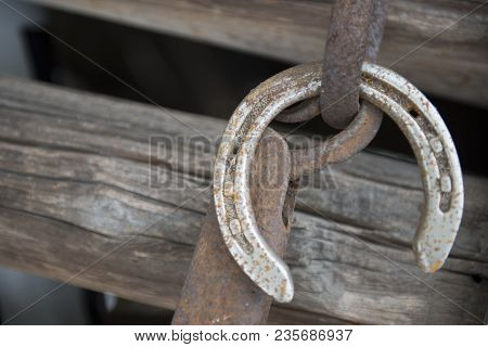 Horseshoe On Wood Fence Came Off Does The Hoof Become Sore