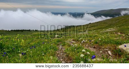 Green Meadow In The Background Of The Mountains In The Fog. Altai Krai.