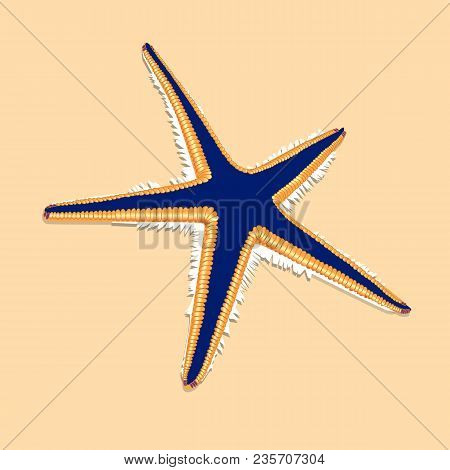 Blue Starfish With Orange Contur On The Brown Background