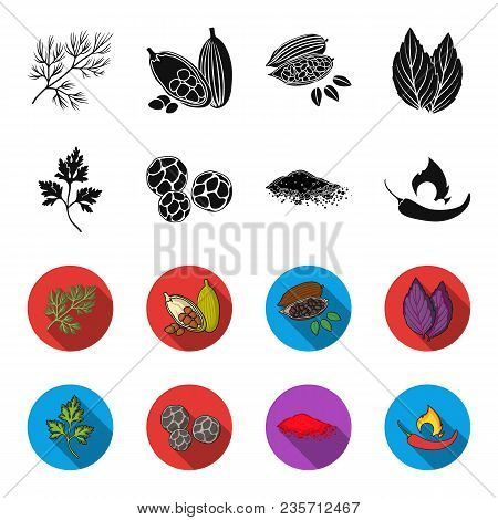 Ptrushka, Black Pepper, Paprika, Chili.herbs And Spices Set Collection Icons In Black, Flet Style Ve