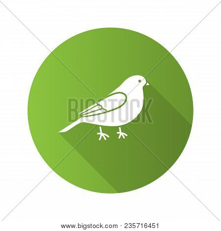 Canary Flat Design Long Shadow Glyph Icon. Songbird. Vector Silhouette Illustration