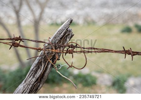 Rusty Barbed Wire And Wooden Pole Of A Fence Near Cres
