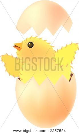 Huevo de pollo