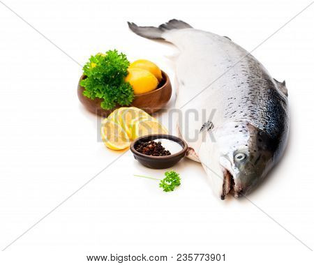 Close  Up On A Whole Rawsalmon With Lemon And Salt Isolated On White
