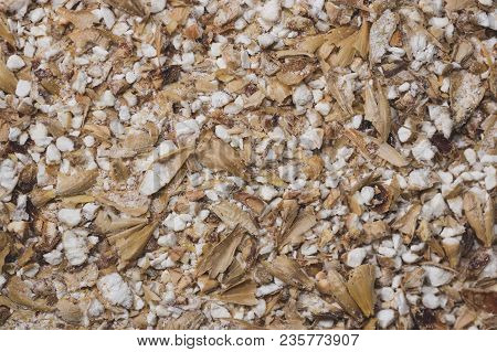 Grinded Grains Of Barley Malt Close-up. Craft Beer Brewing From Grain Barley Pale Malt In Process. A
