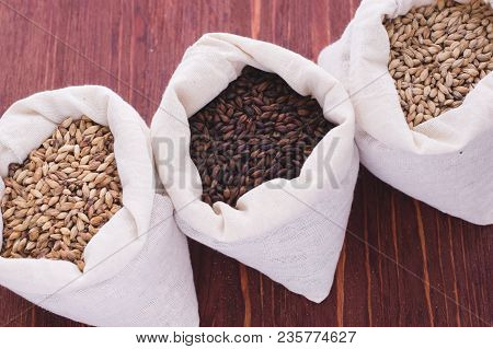 Pale, Caramel, Chocolate Malt In A Bags. Craft Beer Brewing From Grain Barley Malt In Process. Ale O
