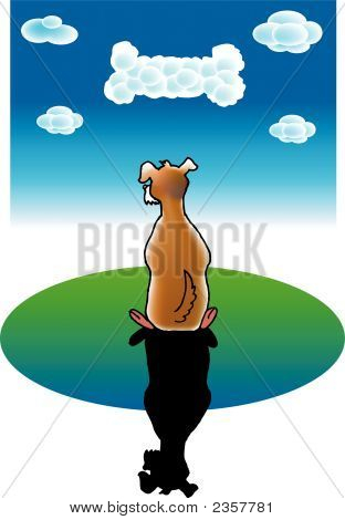Sogni di cane