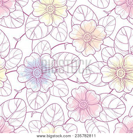 Vector Seamless Pattern With Outline Primula Or Primrose Flower And Leaves In Pastel Pink Colors On 