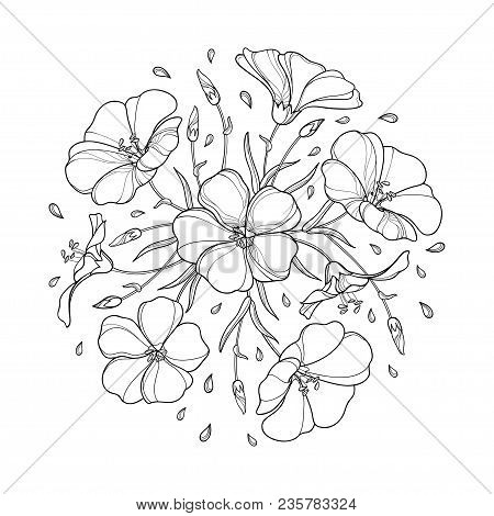 Vector Round Bouquet With Outline Flax Plant Or Linseed Or Linum. Flower Bunch, Bud And Leaf In Blac