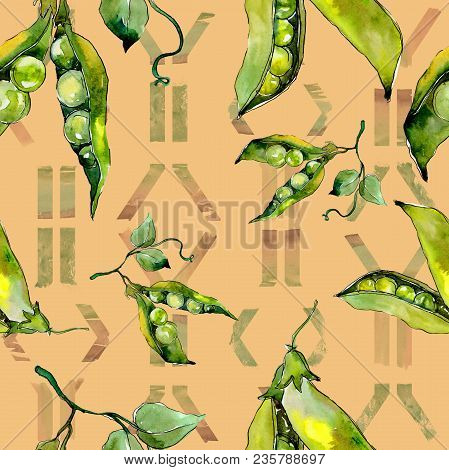 Pea Sed Wild Vegetables In A Watercolor Style Pattern. Full Name Of The Vegetables: Pea Sed. Aquarel