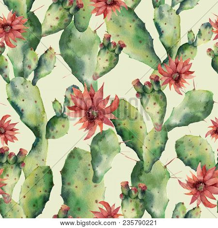Watercolor Cactuses And Flowers Seamless Patttern. Hand Painted Opuntia Isolated On White Background