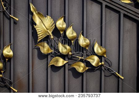 Details, Structure And Ornaments Of Forged Iron Gate. Floral Decorative Ornament, Made From Metal. V