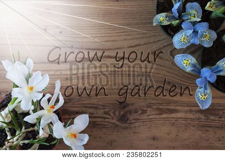Wooden Background With English Text Grow You Own Garden. Sunny Spring Flowers Like Grape Hyacinth An