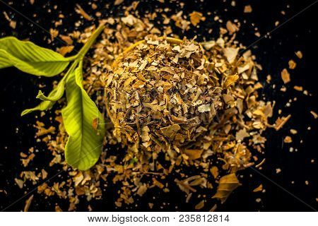 Dried Crushed Guava Leaves With Fresh Green Guava Leaves On A Wooden Surface. It Helps To Reduce Wei