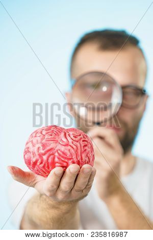 Adult Nerd Man Wearing Eyeglasses Looking At Human Brain Model. Thinking And Intelligence Conept