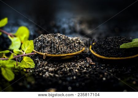 Close Up Of Kalonji, Roman Coriander, Mint Leaves, And Powder Of Kalonji With Its Extracted Oil For 