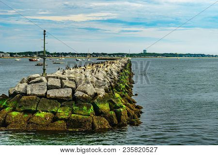 Provincetown Marina Breakwater Birds Provincetown Ma Us.