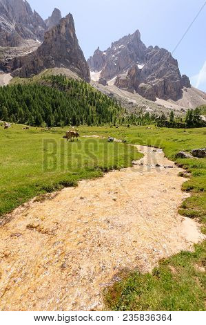 Mountain Peaks View, Dolomites Landscape. Venegia Valley, San Martino Di Castrozza.